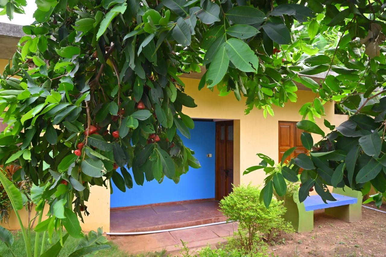 Les Boganveillea Heritage Guest House Auroville Kültér fotó